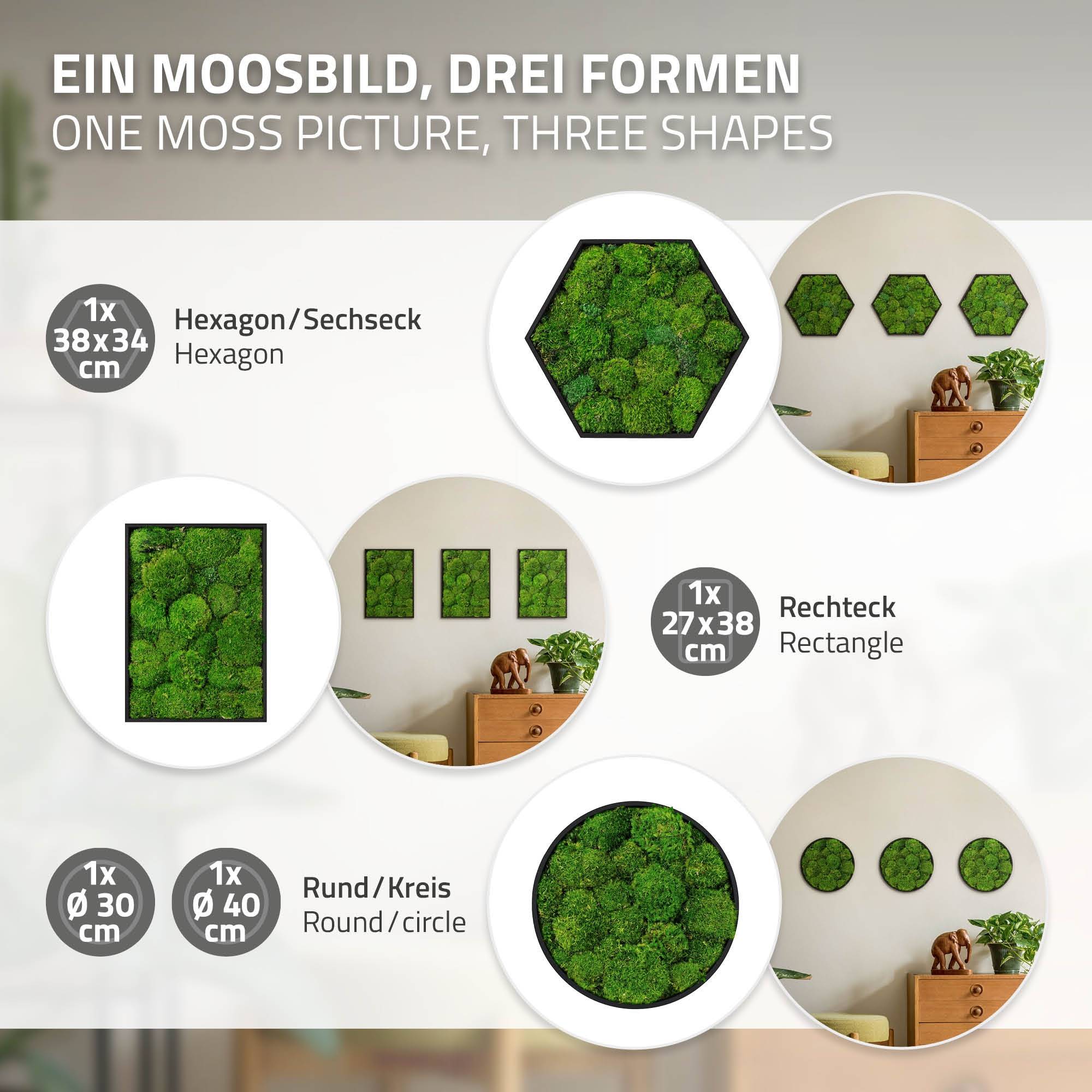 Ecd-Germany - Tableau en mousse boule stabilisée, ronde, Ø 40 cm, vert, décoration murale végétale d'intérieur, cadre en MDF, sans arrosage ni entretien, effet 3D - Image 6
