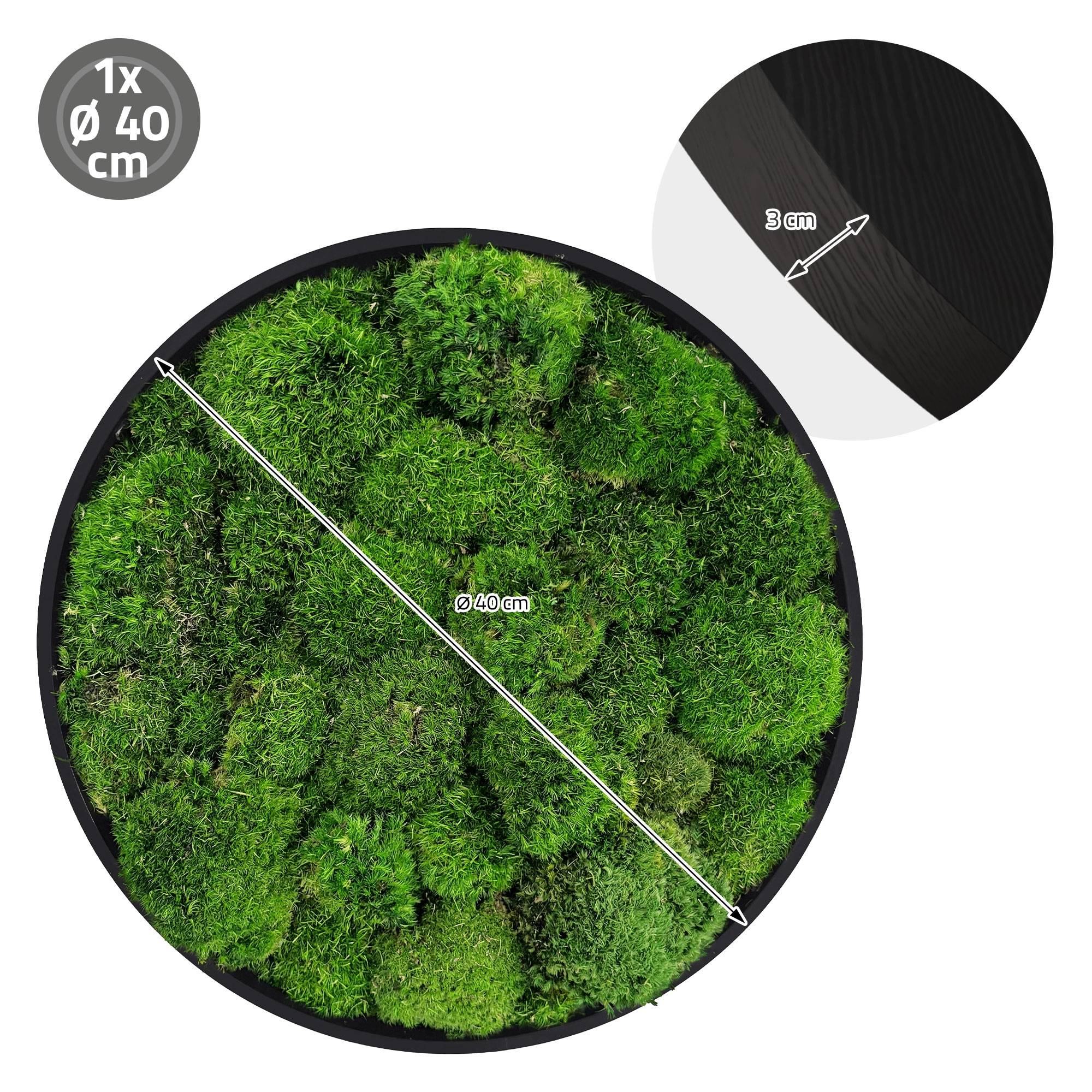 Ecd-Germany - Tableau en mousse boule stabilisée, ronde, Ø 40 cm, vert, décoration murale végétale d'intérieur, cadre en MDF, sans arrosage ni entretien, effet 3D - Image 8