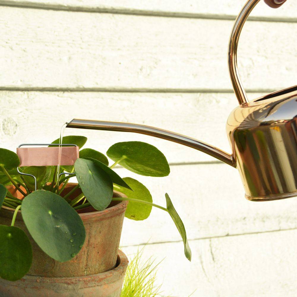 Esschert Design - Etiquettes à plantes en cuivre (Lot de 6) - Image 2