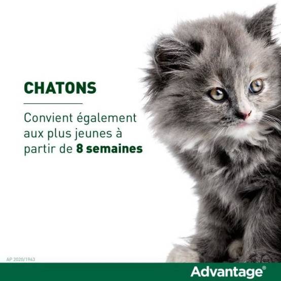 Advantage - ADVANTAGE Solution Antipuce Chat Lapin +4kg 6 pipettes - Image 4
