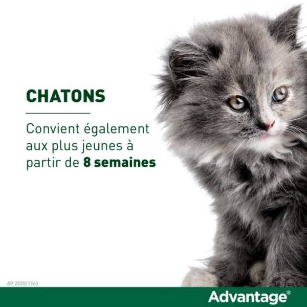 Advantage - ADVANTAGE Solution Antipuce Chat Lapin +4kg 6 pipettes - Image 4