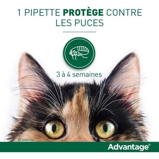 Advantage - ADVANTAGE Solution Antipuce Chat Lapin +4kg 6 pipettes - Image 3