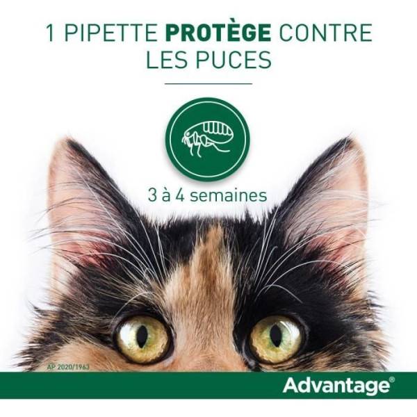 Advantage - ADVANTAGE Solution Antipuce Chat Lapin +4kg 6 pipettes - Image 3