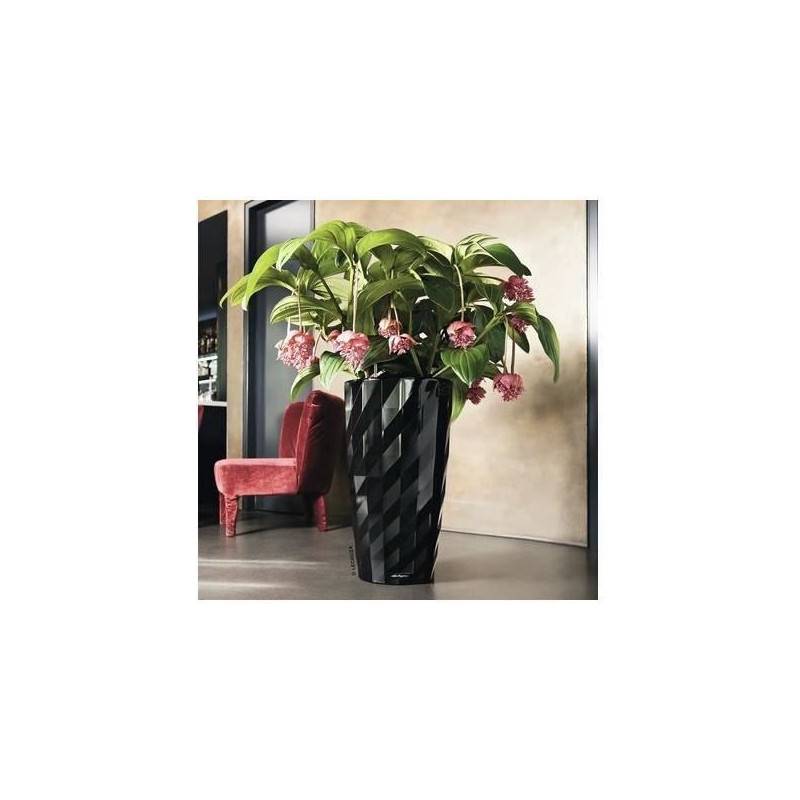 Lechuza - Pot De Fleur Lechuza Diamante Premium - Kit Complet, Noir Brillant - Image 3