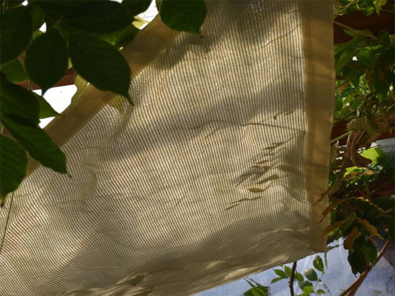 Maille Store - Voile d'ombrage - Ivoire - Forme triangle - 185g/m² Ivoire 3 x 4 x 5 - Image 1