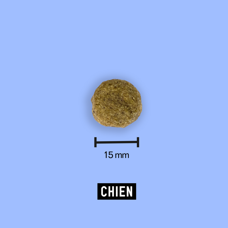 Croquettes aux insectes pour chien sans céréales 12kg - Tomojo - Image 3