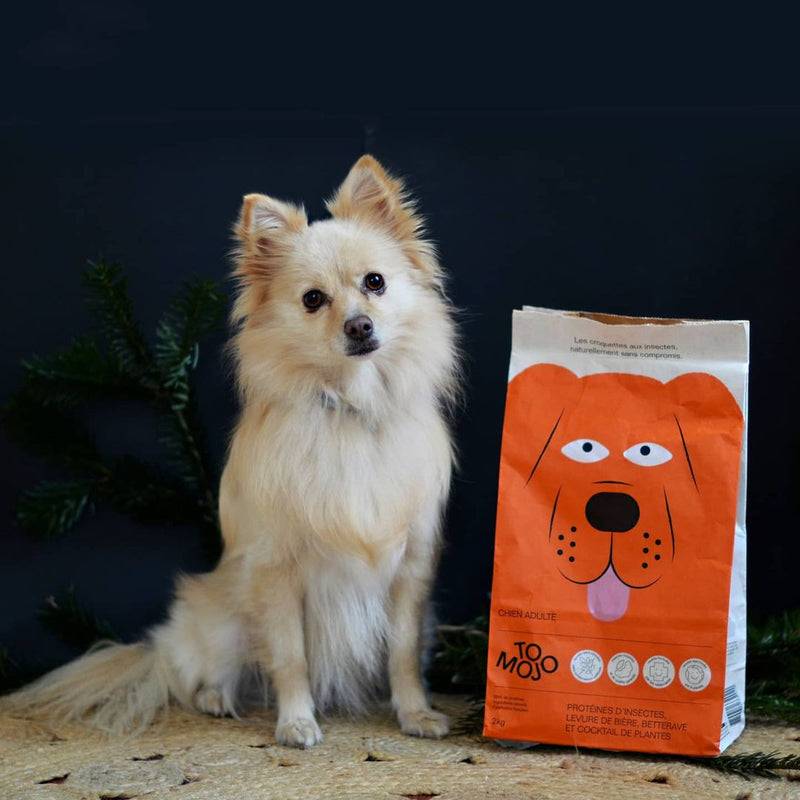 Croquettes aux insectes pour chien sans céréales 12kg - Tomojo - Image 2