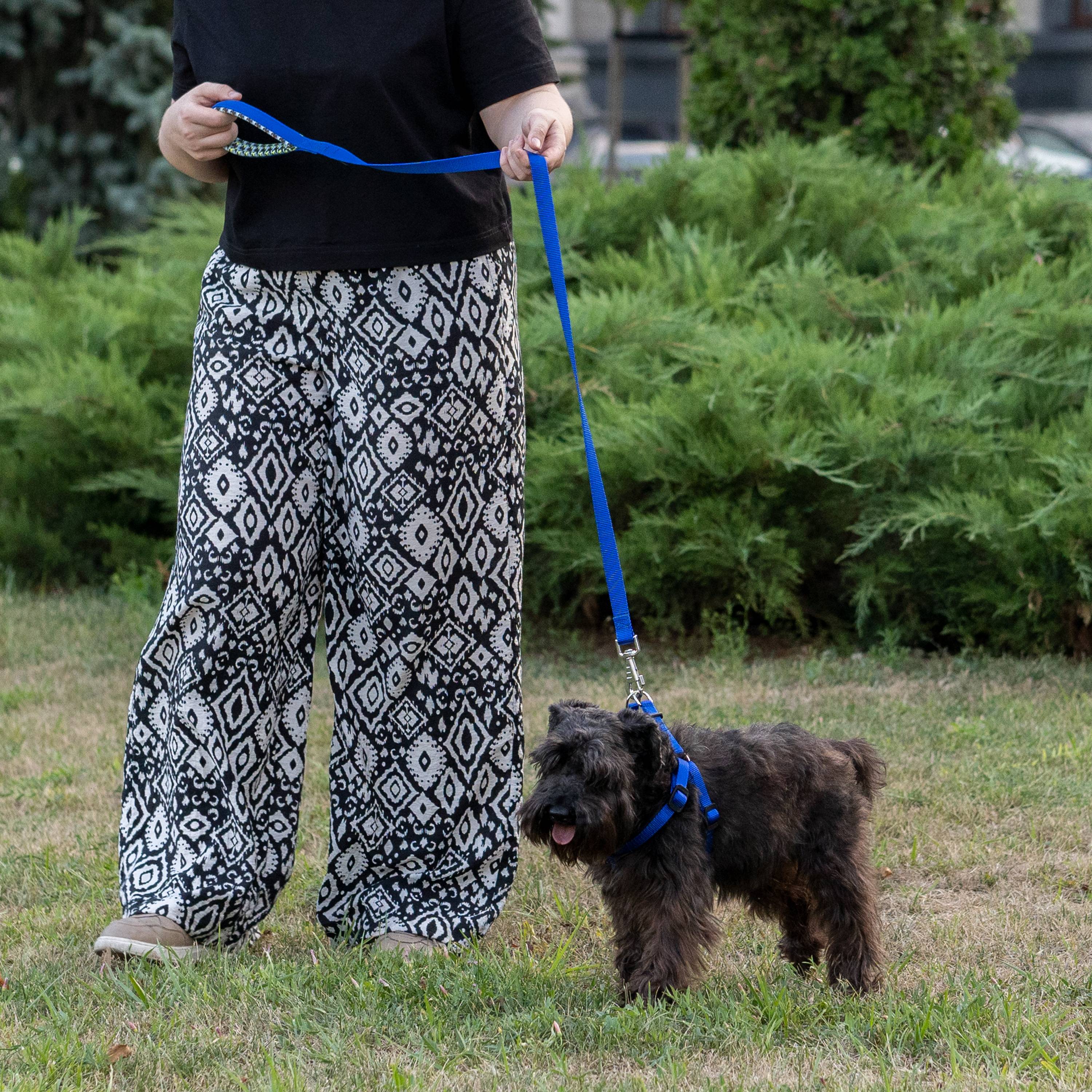 Ferplast - Ferplast laisse pour chien DAYTONA FANTASY, Laisse en nylon pour petit chien, 120 cm, avec poignée rembourrée confortable et mousqueton en métal. - Image 3