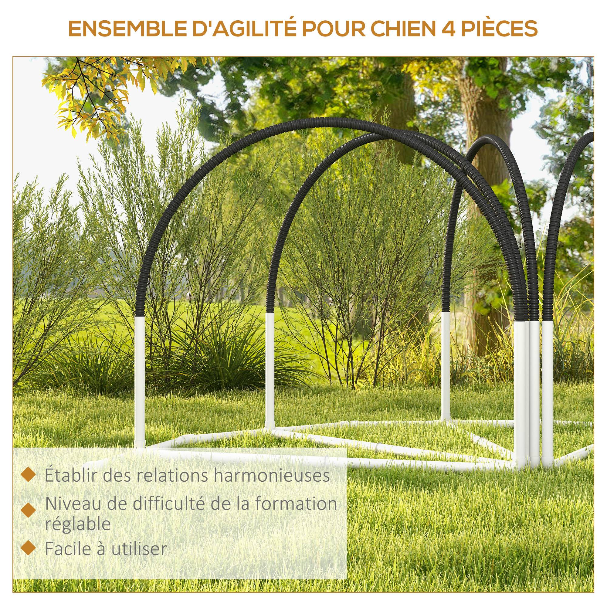 Kit agility pour chien plastique bleu 89 x 69 x 99 cm - PANGIVO - Image 7