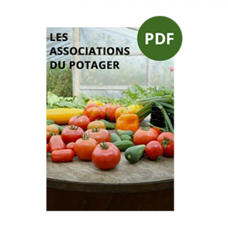 Livre "Le pouvoir des aromates en permaculture" - Image 2