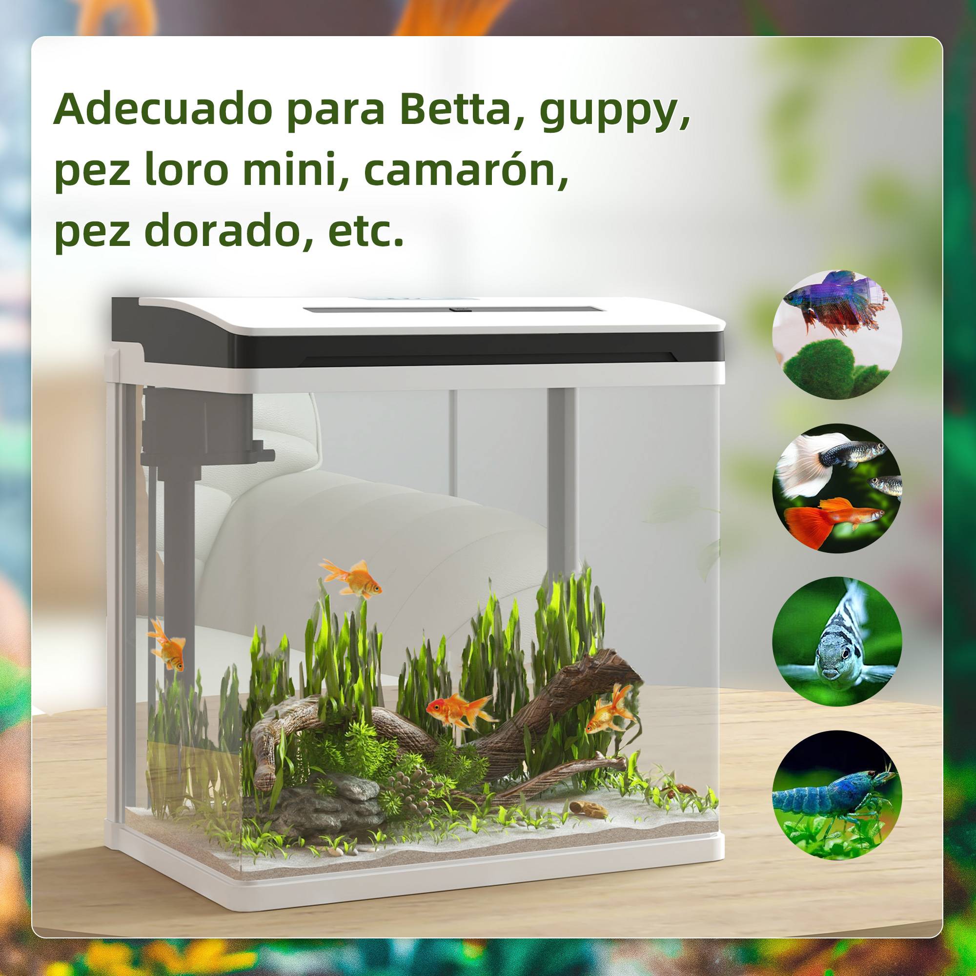 ComfortXL - Aquarium verre 13 L blanc 29x20x30,5 cm filtre pompe silencieuse éclairage LED - ComfortXL Outdoor Living - Image 6
