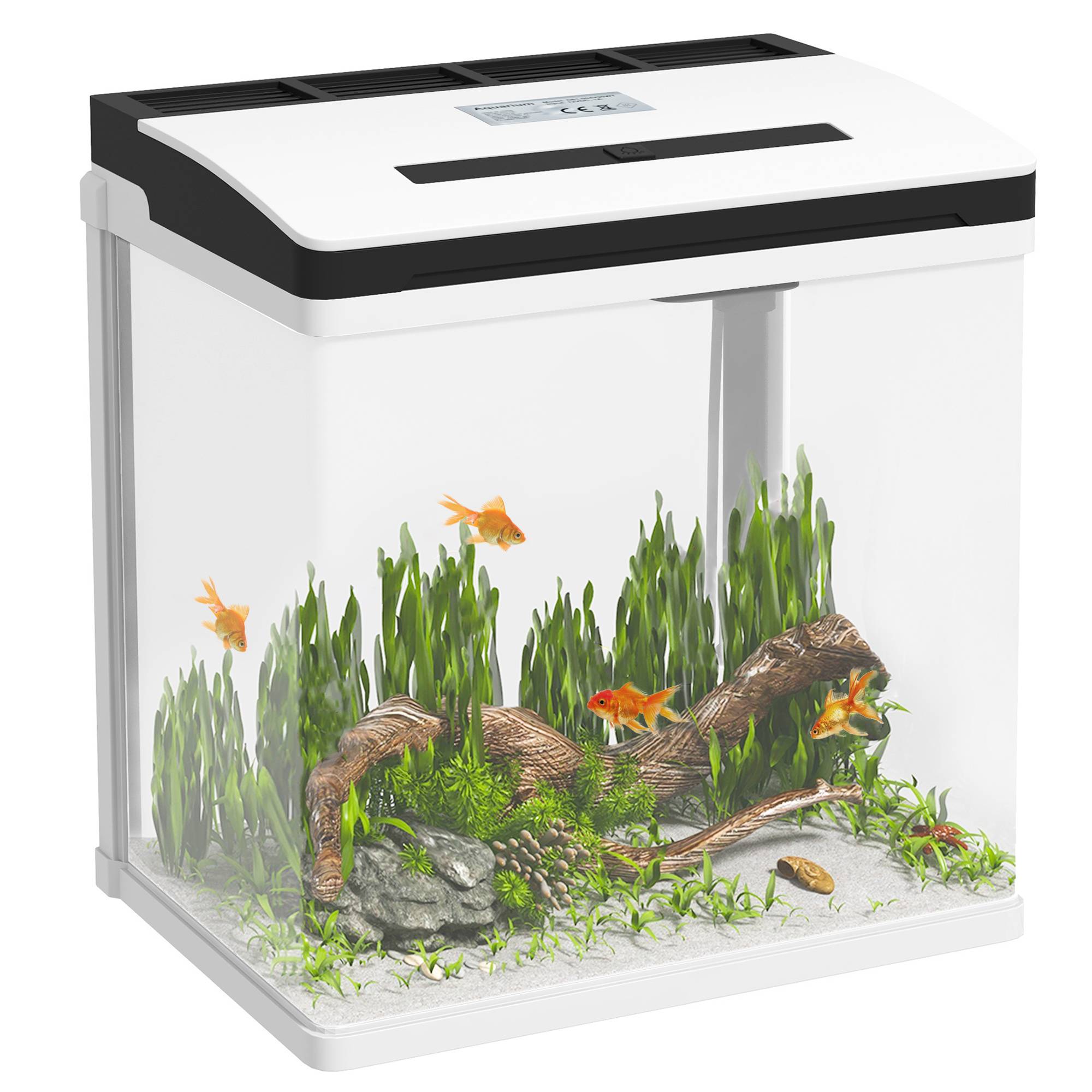 ComfortXL - Aquarium verre 13 L blanc 29x20x30,5 cm filtre pompe silencieuse éclairage LED - ComfortXL Outdoor Living - Image 1