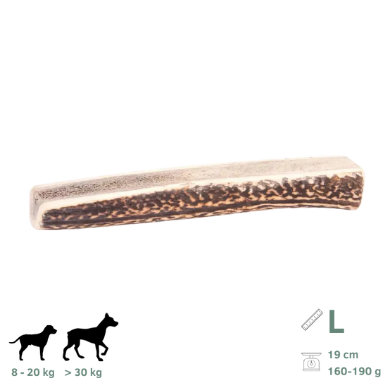 Bois de Cerf Tranchés pour Chien L 160-190g - Image 1