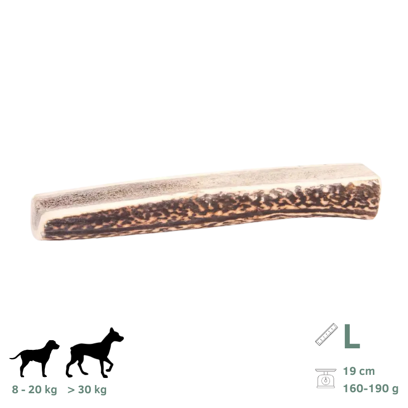 Bois de Cerf Tranchés pour Chien L 160-190g - Image 1