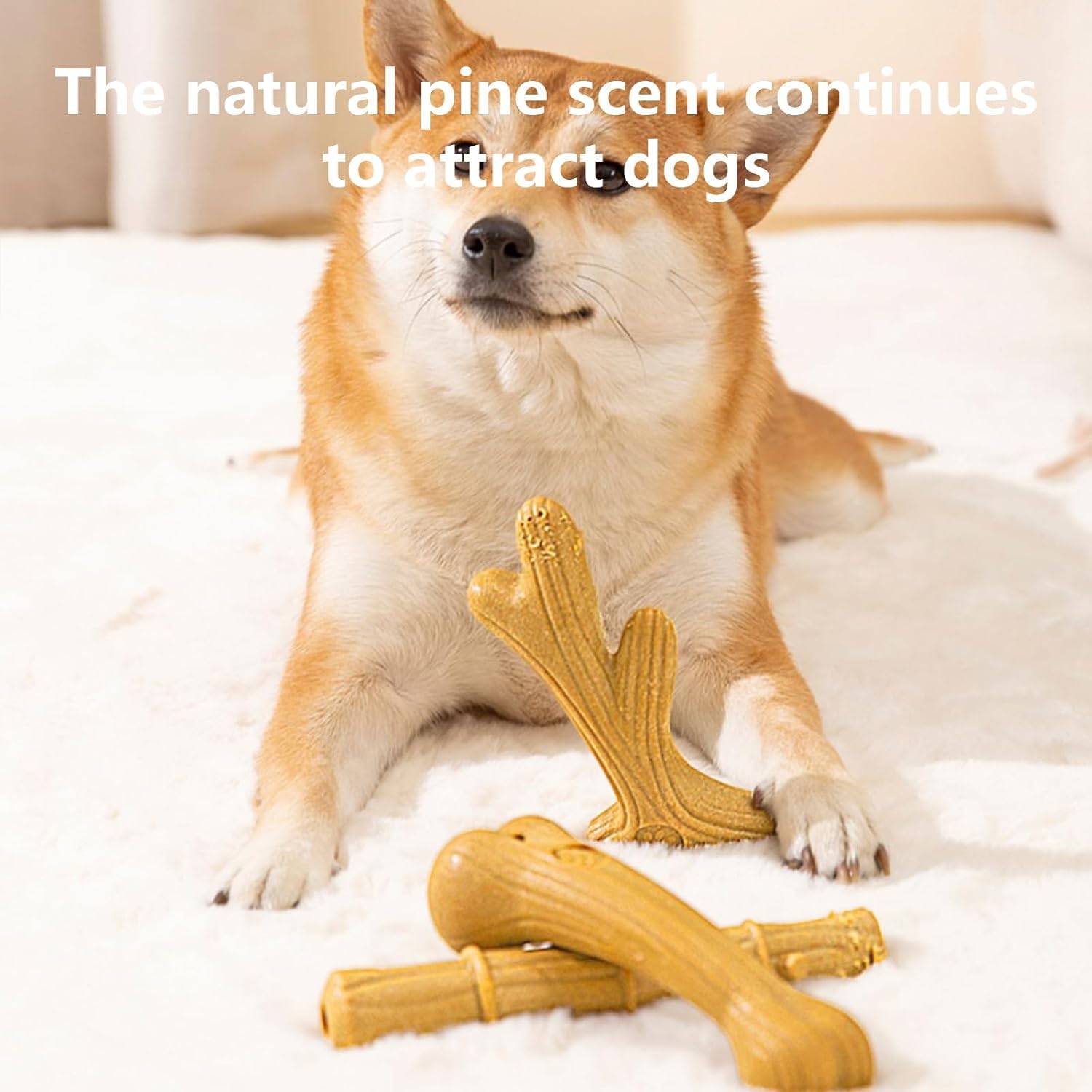 Bâtonnet à Mâcher Naturel pour Chien - Anti-Mauvaise Haleine-IntiMeg - Image 4