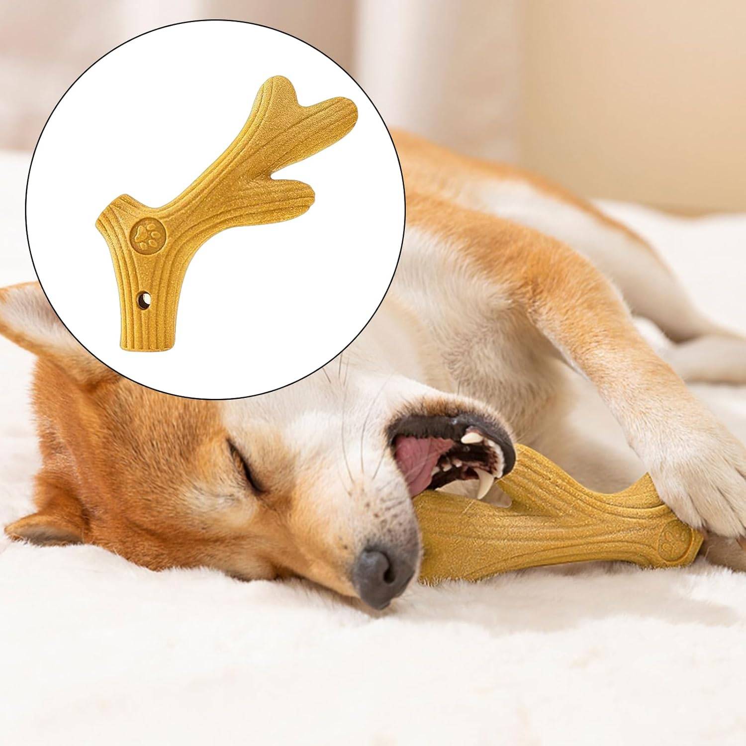 Bâtonnet à Mâcher Naturel pour Chien - Anti-Mauvaise Haleine-IntiMeg - Image 3