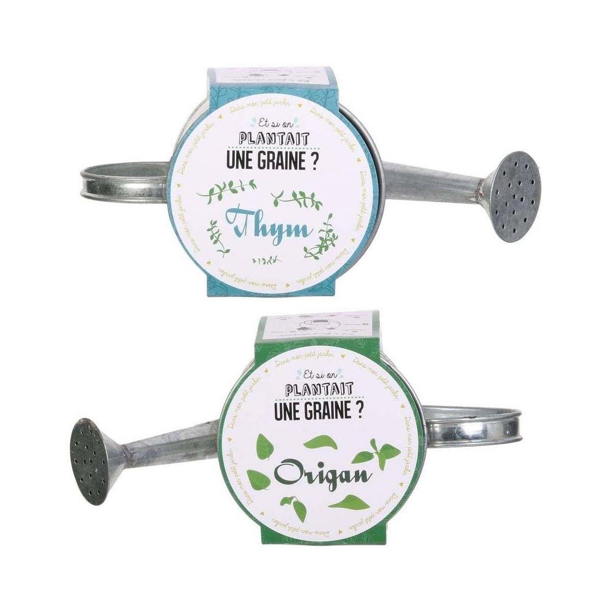 The Home Deco Factory - Graines à planter aromates avec arrosoirs (Lot de 2) The Home Deco Factory - Image 1