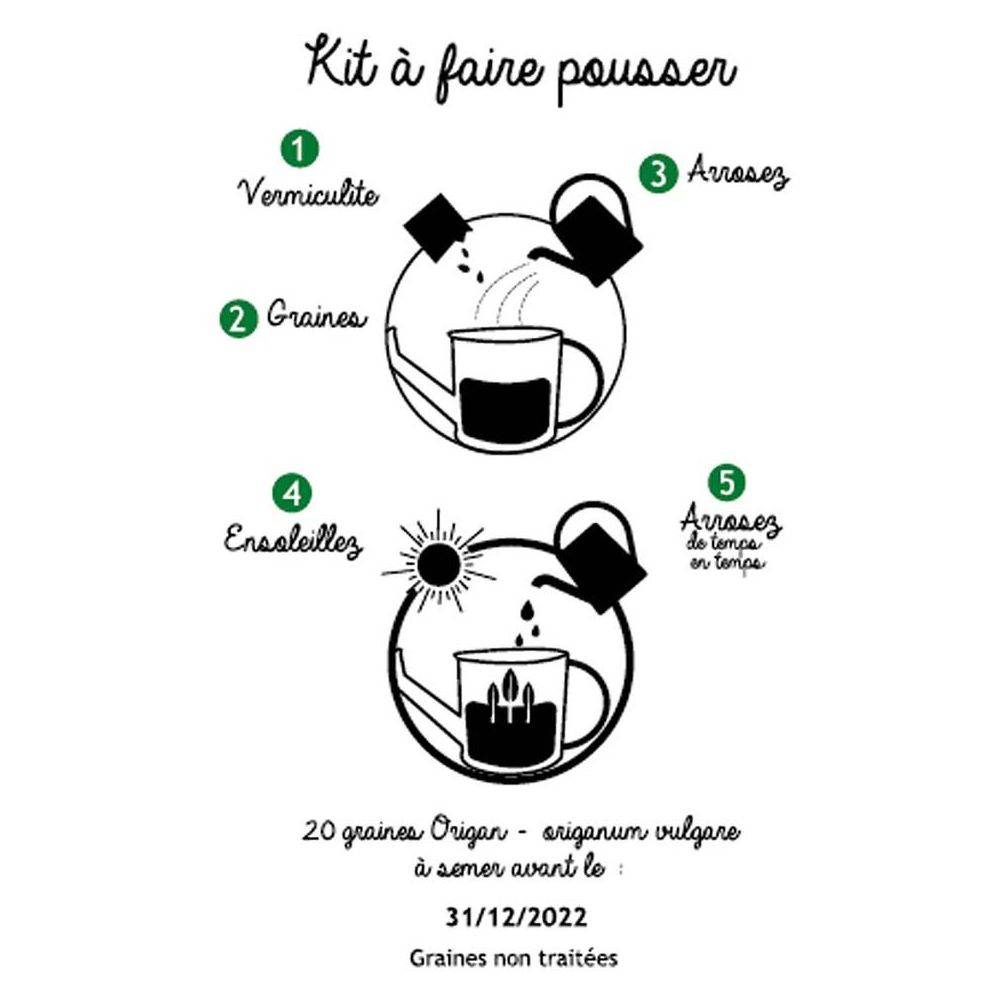 The Home Deco Factory - Graines à planter aromates avec arrosoirs (Lot de 2) The Home Deco Factory - Image 2