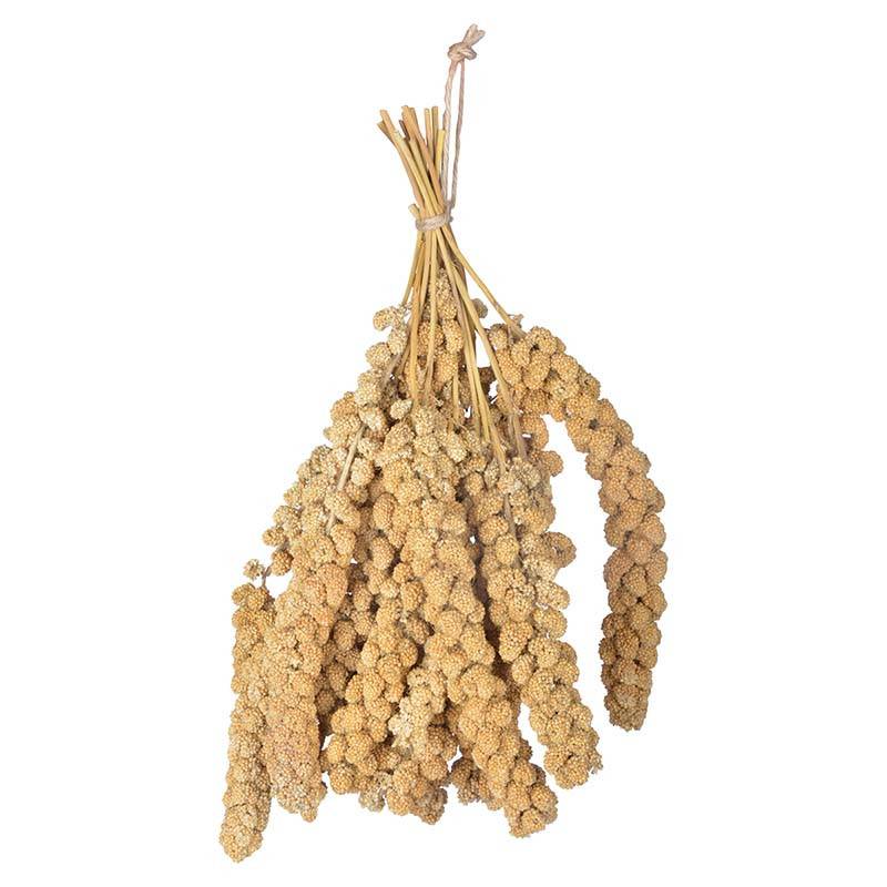 Esschert Design - Millet pour oiseaux 400 gr - Esschert Design - Image 1
