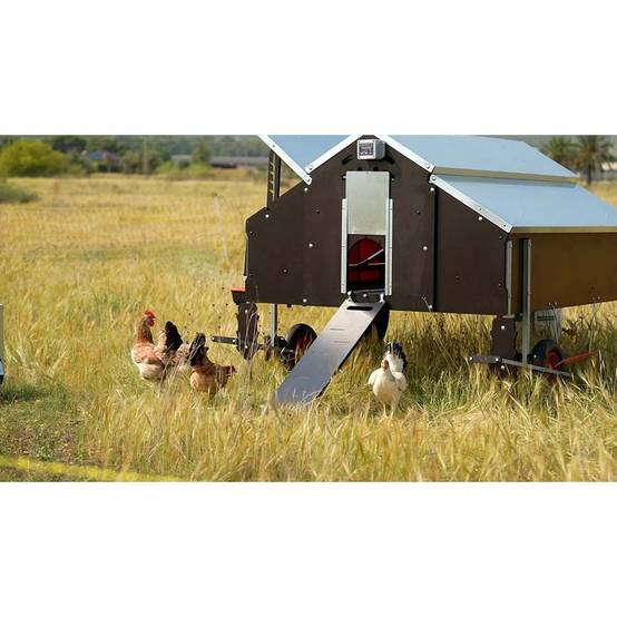 Poulailler pour 30 poules - Image 3