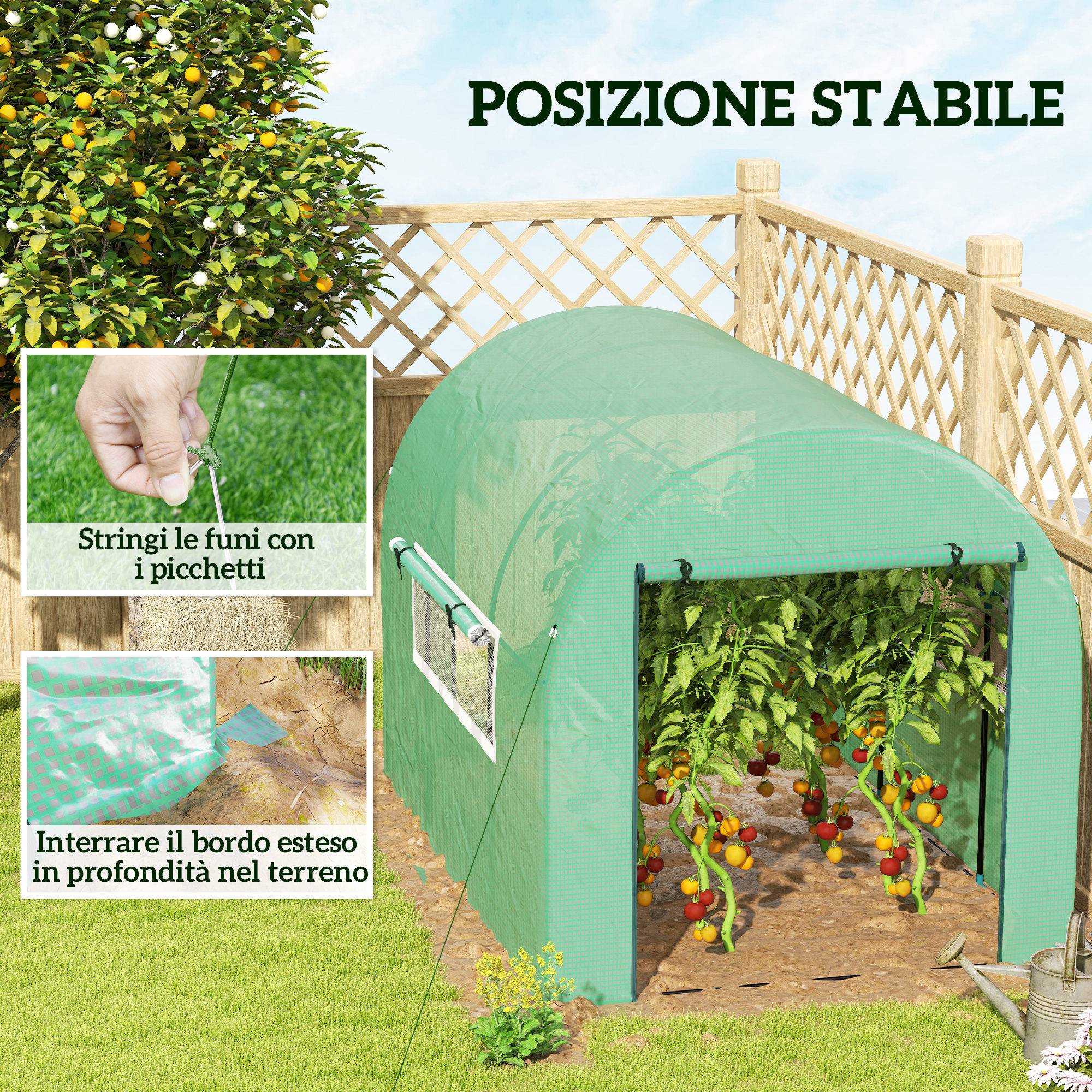 Sans Marque - Serre tunnel 3x2x2 m acier PE UV serre potagère portes fenêtres enroulables culture légumes fleurs serre verte jardin extérieur - Image 9