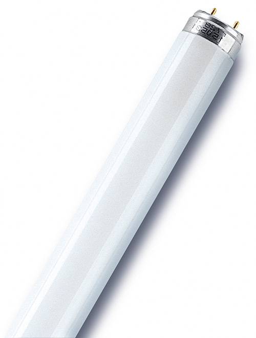 Osram - Tube fluorescent droit T8 opaque 2400 Lm  30 W blanc, OSRAM OSRAM - Image 1