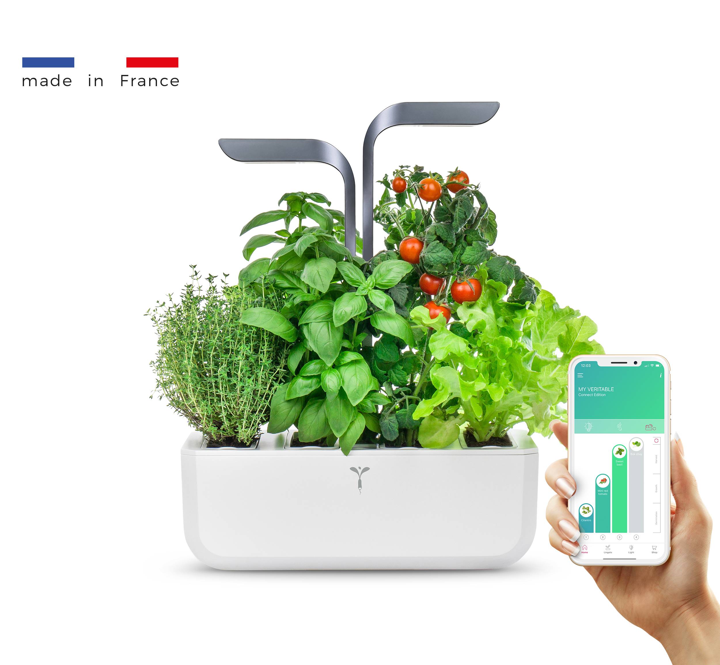 Veritable - Potager d'intérieur Autonome Véritable CONNECT Infinity Grey - Livré avec 4 Lingots - Véritable - Image 1