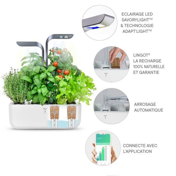 Veritable - Potager d'intérieur Autonome Véritable CONNECT Infinity Grey - Livré avec 4 Lingots - Véritable - Image 5