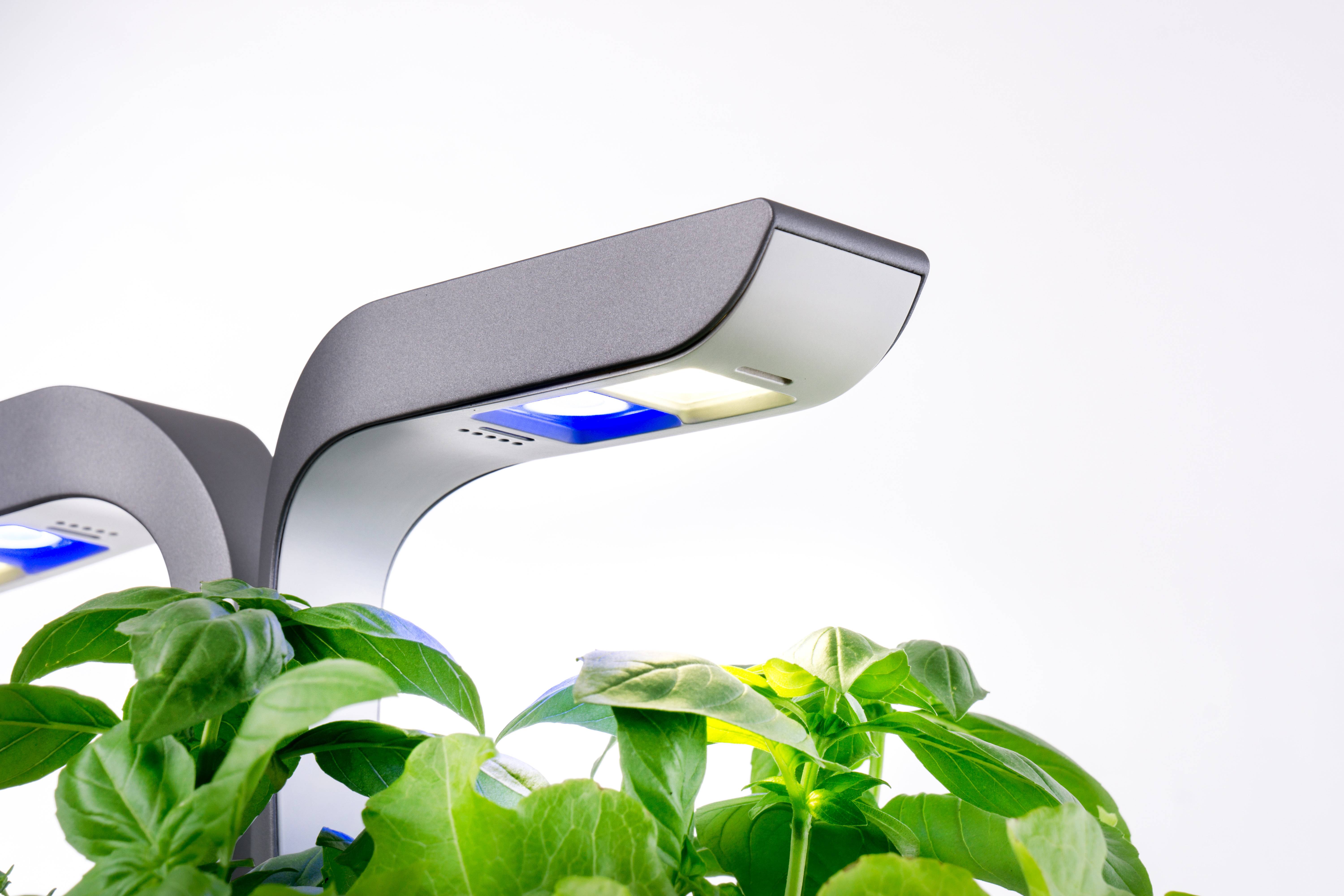 Veritable - Potager d'intérieur Autonome Véritable CONNECT Infinity Grey - Livré avec 4 Lingots - Véritable - Image 3