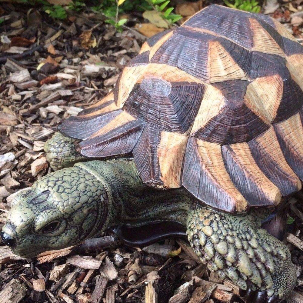 Vivid Arts - Tortue en résine 32 cm - Image 4