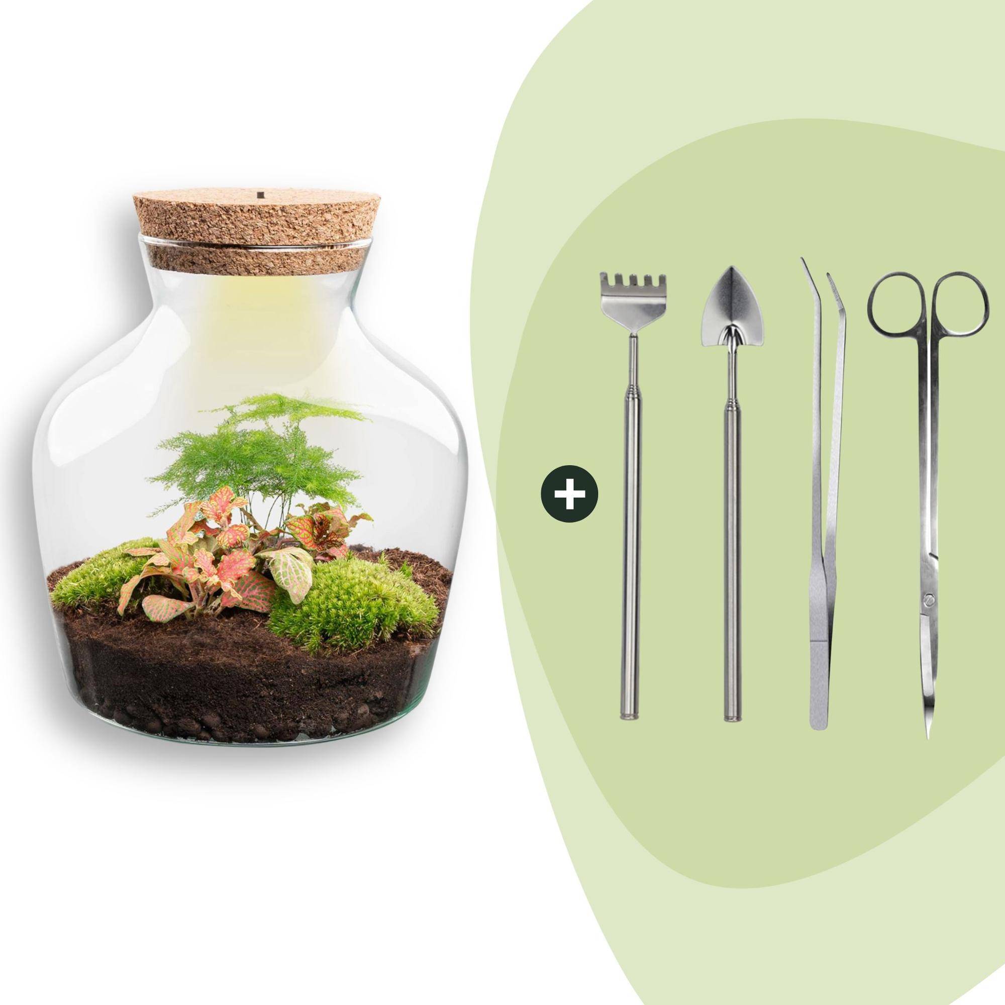 Terrarium à composer bouteille en verre recyclé - Ø20-H22cm - avec kit 4 outils - Terrarium DIY - Image 1