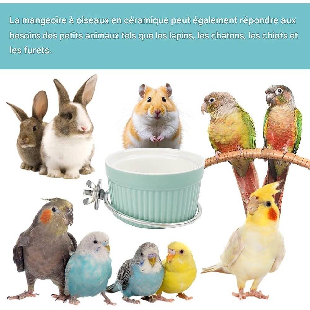 Coupe d'alimentation pour oiseaux - Lytech - Image 4