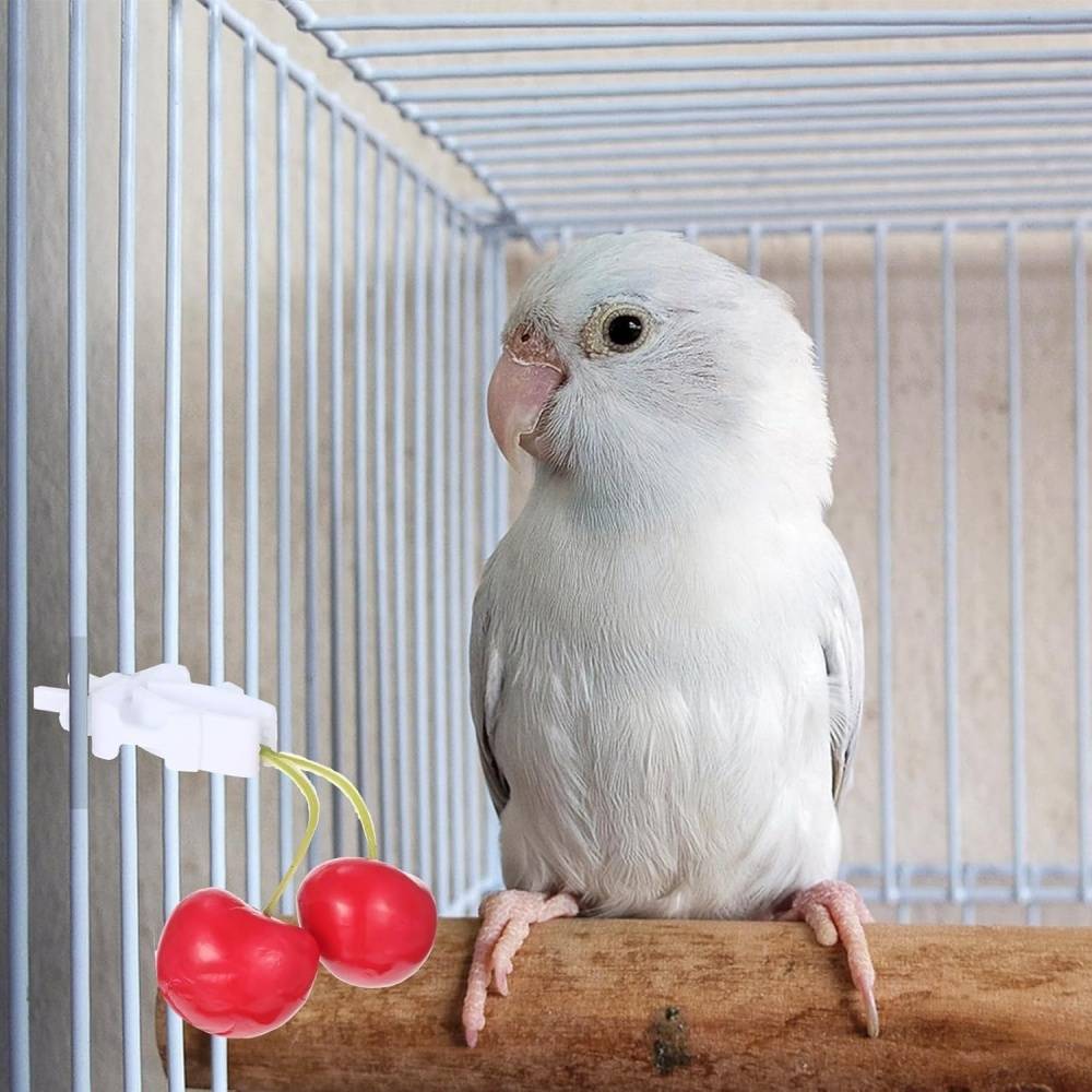 Clips de support de nourriture pour oiseaux - Lytech - Image 4