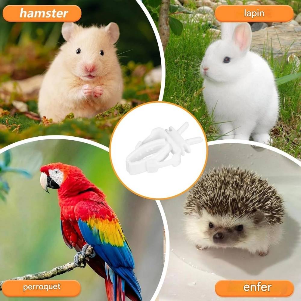 Clips de support de nourriture pour oiseaux - Lytech - Image 3