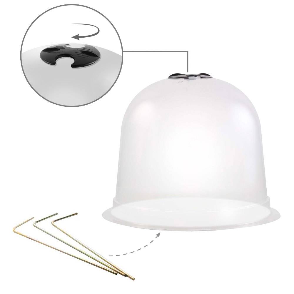 Cloches à salades plastique - Lot de 6 - Image 3