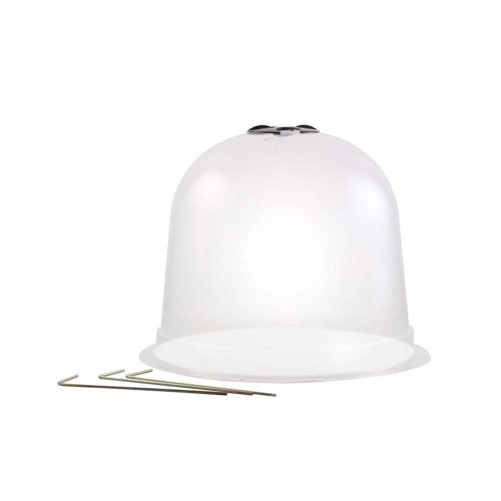 Cloches à salades plastique - Lot de 6 - Image 2