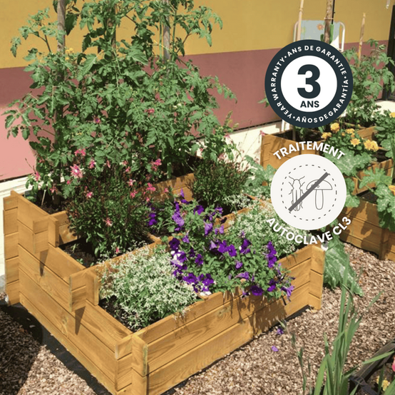 Jardipolys - Carré potager 3 étages bois autoclave - 371L Jardipolys - Image 3