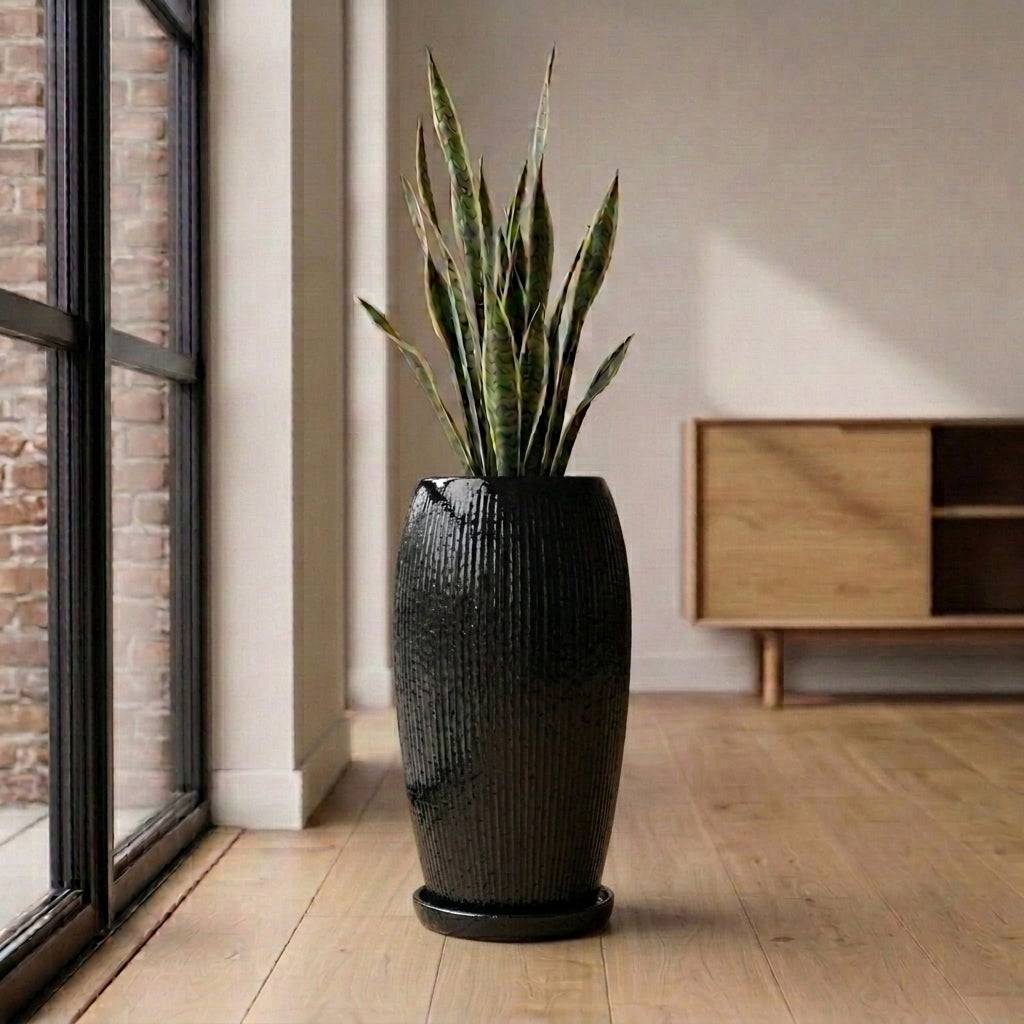 Provencelia - Soucoupe ronde 15cm noir - Image 7