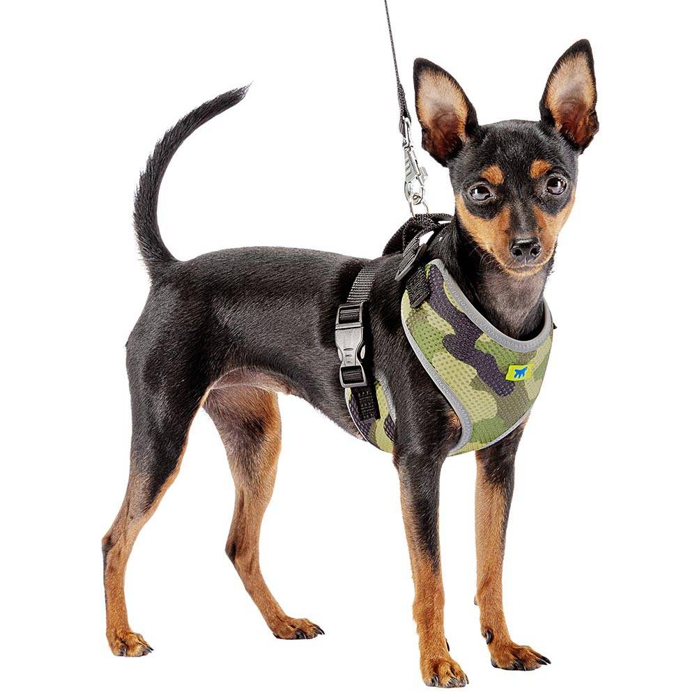 Ferplast - Ferplast Harnais Chien Taille Moyenne NIKITA XS, Harnais pour Chat Respirant, Rembourré et Ajustable, Facile à Porter, Bords Réfléchissants, Poitrine - Image 4