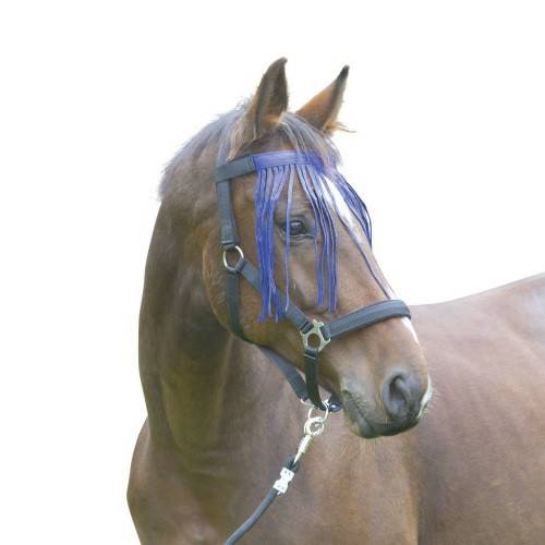 Chasse Mouche à Franges - Anti-mouche Poney Bleu - Image 2