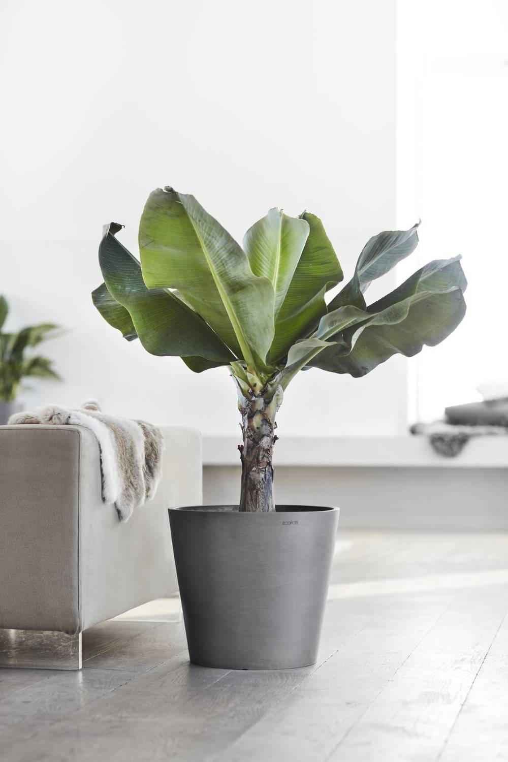 Ecopots - Pot Rond Amsterdam 40 Gris - Ø 40 x H. 35 cm - 28 L ECOPOTS - Image 5
