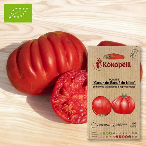 Association Kokopelli - Tomate Cœur de Bœuf de Nice- Graines bio à semer - Image 1