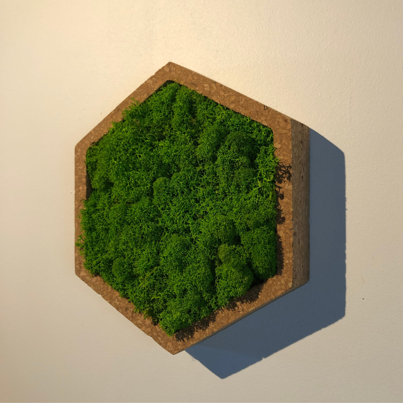 Naturalys - Tableau végétal mural stabilisé 16cm Vert - Naturalys - Image 3