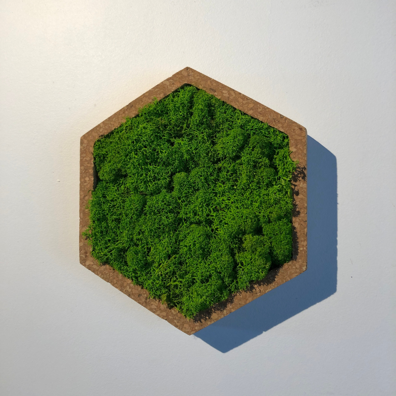 Naturalys - Tableau végétal mural stabilisé 16cm Vert - Naturalys - Image 4