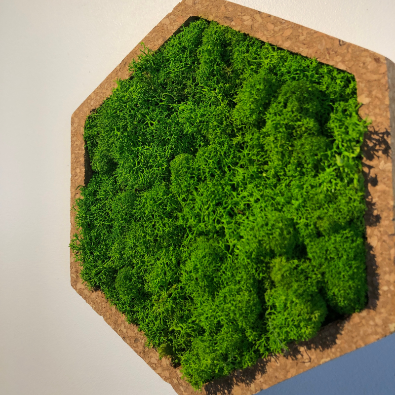 Naturalys - Tableau végétal mural stabilisé 16cm Vert - Naturalys - Image 5