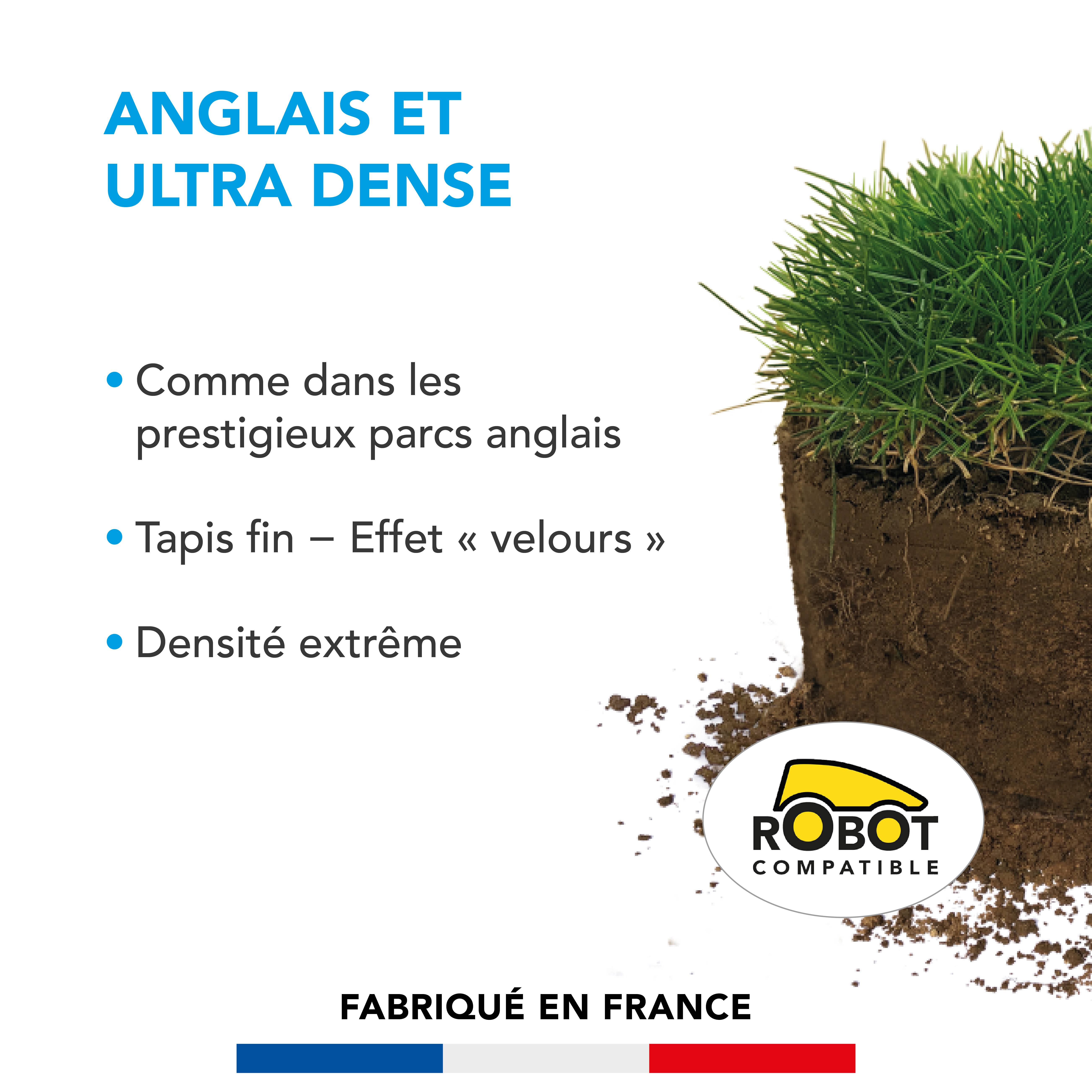 Gazon Anglais et Ultra dense - Aspect Prestigieux Parcs Anglais - Tapis Dense Effet velours - Densité Extrême - 1KG - BARENBRUG - Image 2
