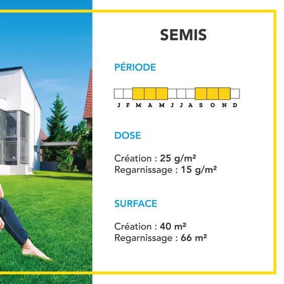 Gazon Anglais et Ultra dense - Aspect Prestigieux Parcs Anglais - Tapis Dense Effet velours - Densité Extrême - 1KG - BARENBRUG - Image 4