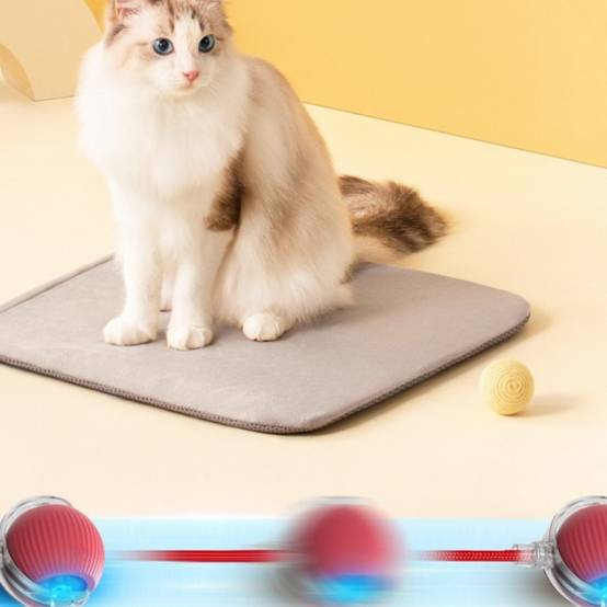 IntiMeg - Jouet interactif pour chat IntiMeg - Image 5