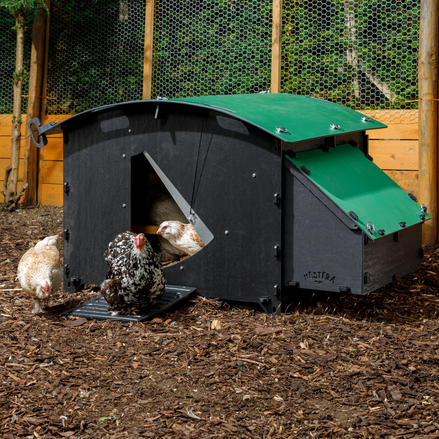 Poulailler Nestera The House Large 8 poules- Plastique recyclé - garanti 25 ans - Image 1