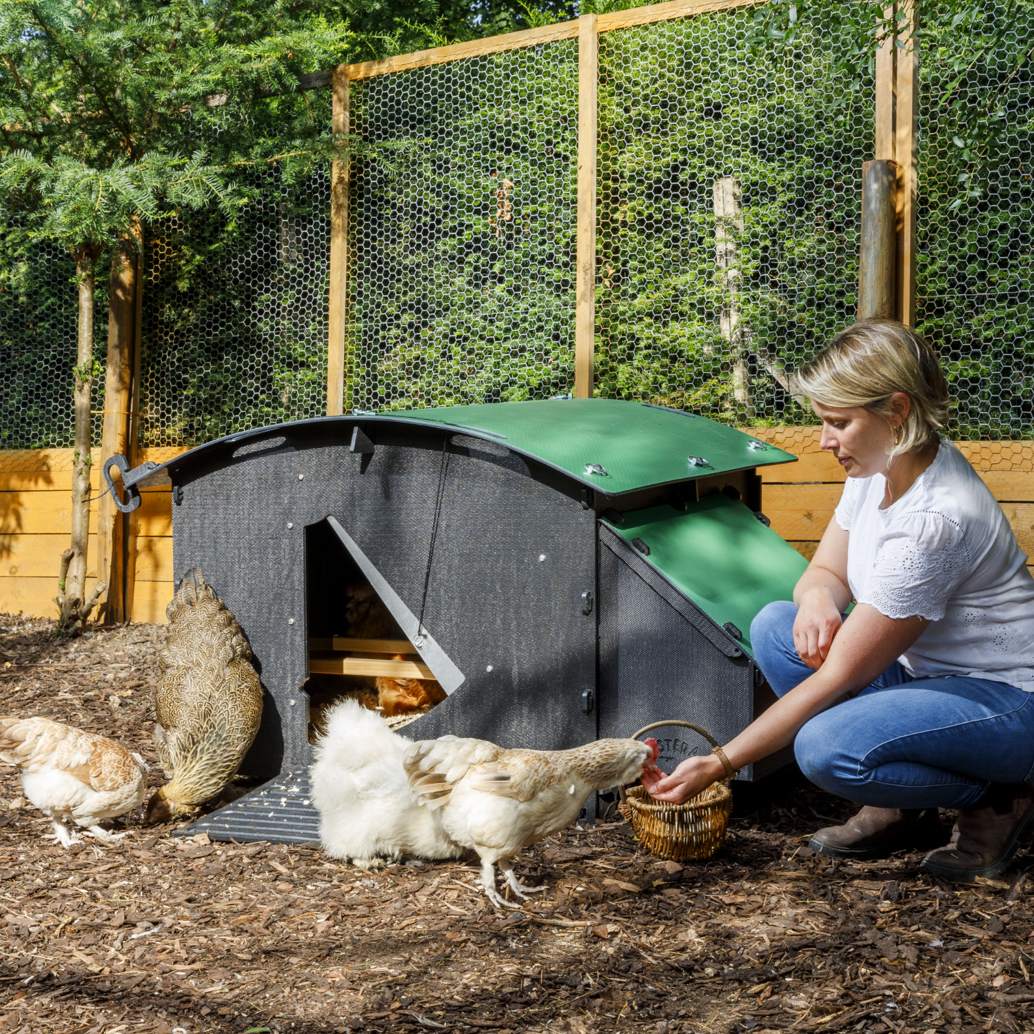 Poulailler Nestera The House Large 8 poules- Plastique recyclé - garanti 25 ans - Image 2